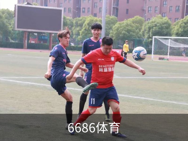 企业介绍